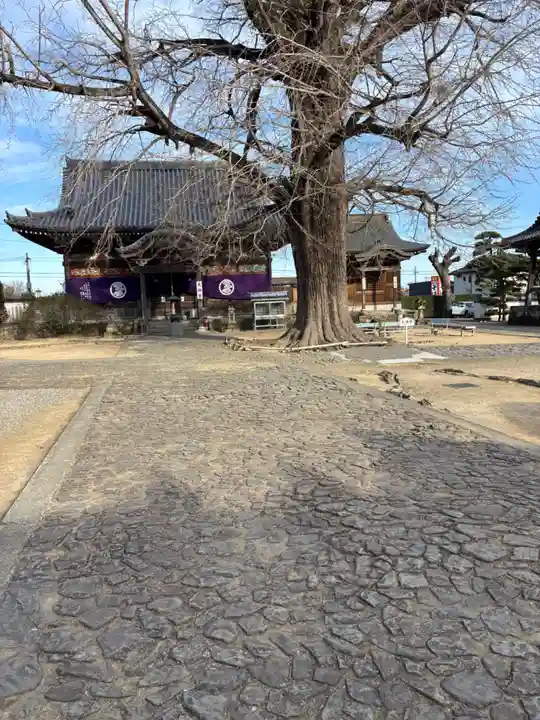 地蔵寺(徳島県)