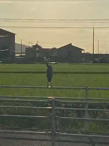 賽の大神の動物