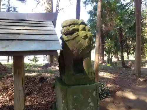 井上神社の狛犬