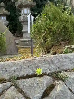 神炊館神社 ⁂奥州須賀川総鎮守⁂の{uncategorized: "未分類", other: "その他", undefined: "問題あり", building: "その他建物", grave: "お墓", sacred_gate: "鳥居", guardian: "狛犬", statue: "像", buddha: "仏像", history: "歴史", nature: "自然", garden: "庭園", animal: "動物", pagoda: "塔", temizu: "手水舎", mountain_gate: "山門・神門", sanctuary: "本殿・本堂", subordinate: "末社・摂社", art: "芸術", scenery: "景色", jizo: "地蔵", ema: "絵馬", goshuin: "御朱印", omikuji: "おみくじ", items: "授与品その他", amulet: "お守り", goshuincho: "御朱印帳", eats: "食事", festival: "お祭り", votive_dance: "神楽", shichigosan: "七五三参", wedding: "結婚式", experience: "体験その他", initially: "初詣", around: "周辺", anti_infection: "感染症対策"}