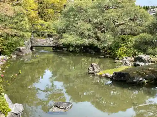 城南宮の庭園