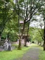 金剛院(京都府)