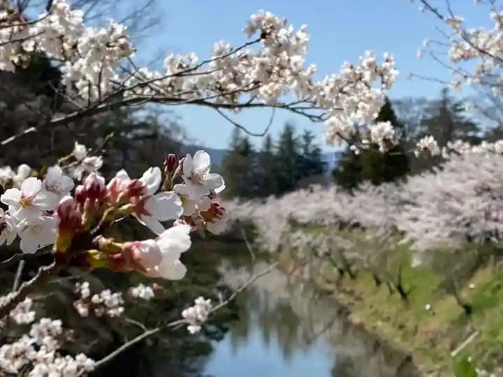 眞田神社の自然