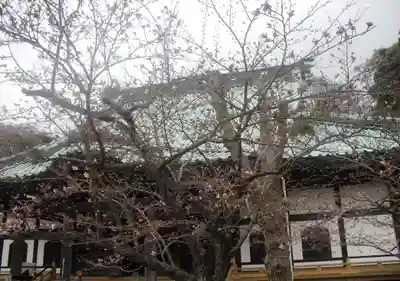 光明寺のその他建物