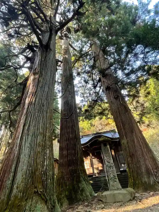 藤沼神社の自然