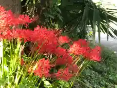 畑子安神社の自然