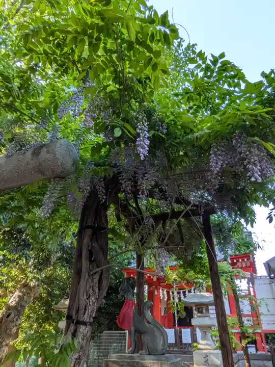 藤神稲荷神社(東京都)