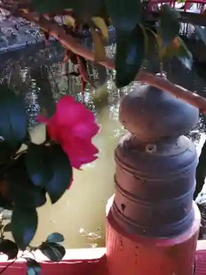 間々田八幡宮のその他建物