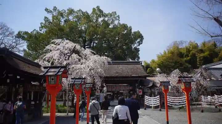 平野神社(京都府)