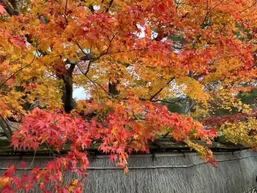 宝厳院(京都府)