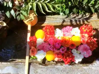 本郷氷川神社(東京都)