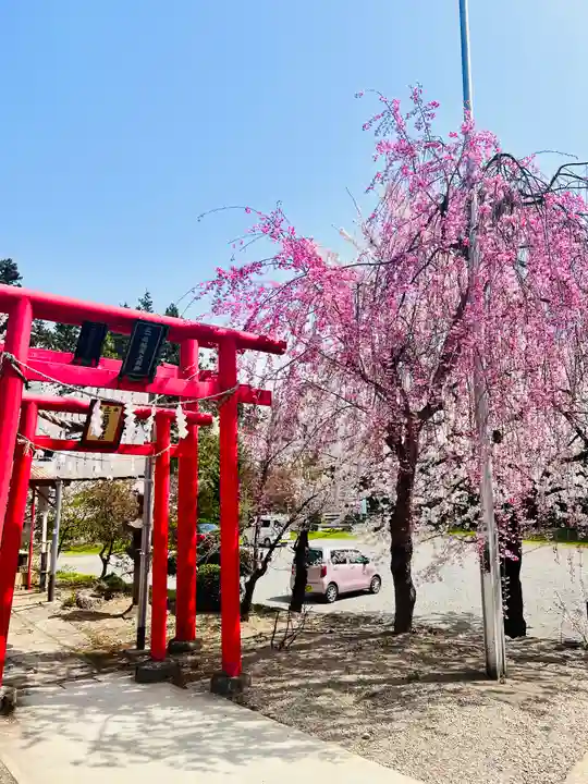 寒河江八幡宮(山形県)