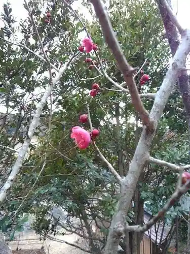 天澤院の庭園