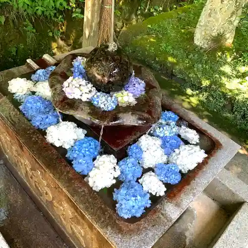 観音寺の手水舎