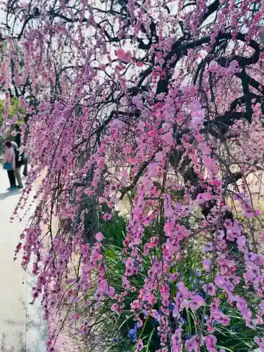 屯倉神社の{uncategorized: "未分類", other: "その他", undefined: "問題あり", building: "その他建物", grave: "お墓", sacred_gate: "鳥居", guardian: "狛犬", statue: "像", buddha: "仏像", history: "歴史", nature: "自然", garden: "庭園", animal: "動物", pagoda: "塔", temizu: "手水舎", mountain_gate: "山門・神門", sanctuary: "本殿・本堂", subordinate: "末社・摂社", art: "芸術", scenery: "景色", jizo: "地蔵", ema: "絵馬", goshuin: "御朱印", omikuji: "おみくじ", items: "授与品その他", amulet: "お守り", goshuincho: "御朱印帳", eats: "食事", festival: "お祭り", votive_dance: "神楽", shichigosan: "七五三参", wedding: "結婚式", experience: "体験その他", initially: "初詣", around: "周辺", anti_infection: "感染症対策"}