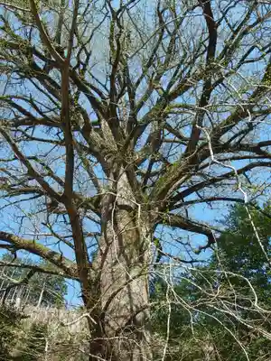 天河大辨財天社(奈良県)