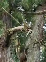 高岡神社(岡山県)