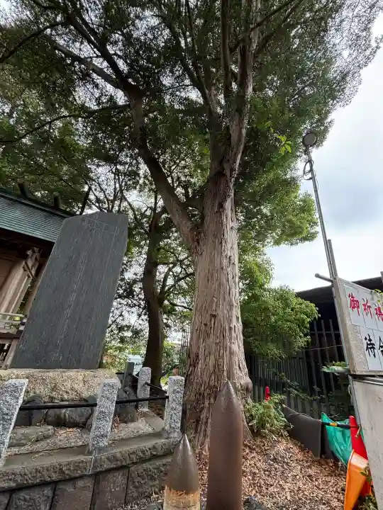 玉前神社の{uncategorized: "未分類", other: "その他", undefined: "問題あり", building: "その他建物", grave: "お墓", sacred_gate: "鳥居", guardian: "狛犬", statue: "像", buddha: "仏像", history: "歴史", nature: "自然", garden: "庭園", animal: "動物", pagoda: "塔", temizu: "手水舎", mountain_gate: "山門・神門", sanctuary: "本殿・本堂", subordinate: "末社・摂社", art: "芸術", scenery: "景色", jizo: "地蔵", ema: "絵馬", goshuin: "御朱印", omikuji: "おみくじ", items: "授与品その他", amulet: "お守り", goshuincho: "御朱印帳", eats: "食事", festival: "お祭り", votive_dance: "神楽", shichigosan: "七五三参", wedding: "結婚式", experience: "体験その他", initially: "初詣", around: "周辺", anti_infection: "感染症対策"}