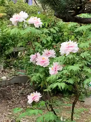 十輪寺(群馬県)