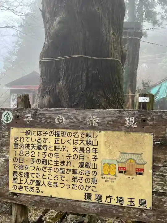 天龍寺(埼玉県)