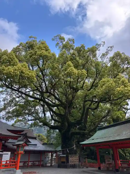 熊野那智大社の{uncategorized: "未分類", other: "その他", undefined: "問題あり", building: "その他建物", grave: "お墓", sacred_gate: "鳥居", guardian: "狛犬", statue: "像", buddha: "仏像", history: "歴史", nature: "自然", garden: "庭園", animal: "動物", pagoda: "塔", temizu: "手水舎", mountain_gate: "山門・神門", sanctuary: "本殿・本堂", subordinate: "末社・摂社", art: "芸術", scenery: "景色", jizo: "地蔵", ema: "絵馬", goshuin: "御朱印", omikuji: "おみくじ", items: "授与品その他", amulet: "お守り", goshuincho: "御朱印帳", eats: "食事", festival: "お祭り", votive_dance: "神楽", shichigosan: "七五三参", wedding: "結婚式", experience: "体験その他", initially: "初詣", around: "周辺", anti_infection: "感染症対策"}