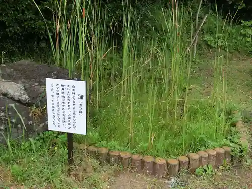 白兎神社の建物その他