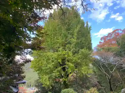 常勝寺(兵庫県)