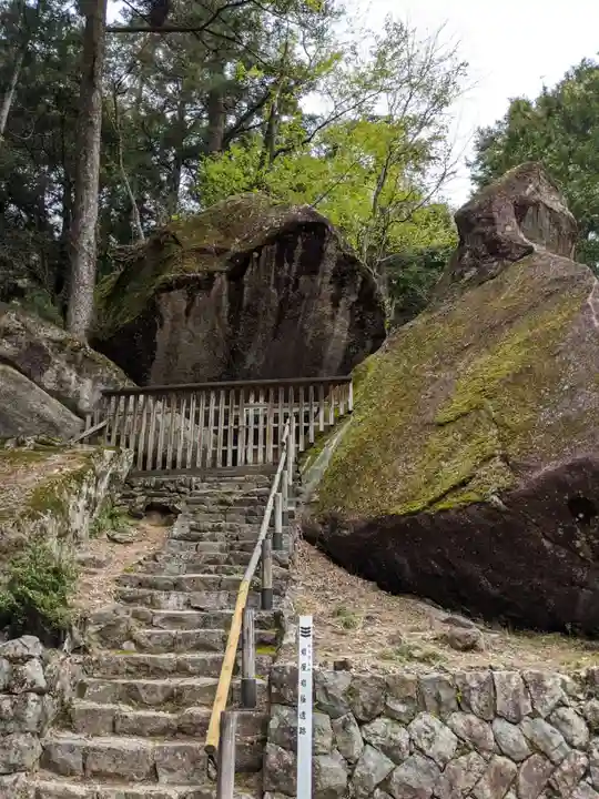 祖師野八幡宮の自然