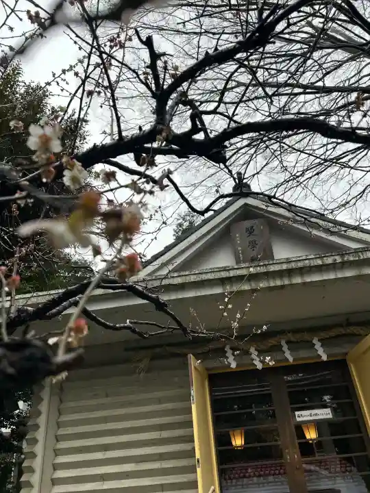 神戸神社(前鳥神社境内社)(神奈川県)