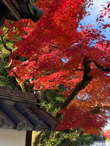 大雄院(京都府)