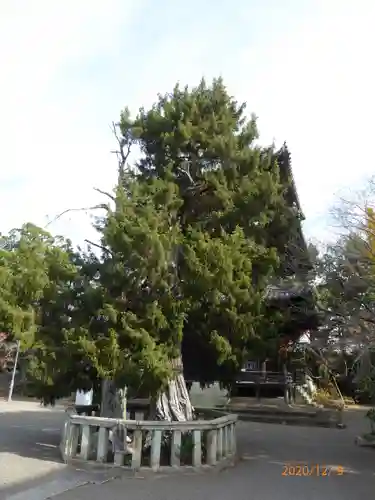 道成寺のその他建物