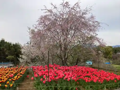 泉蔵寺の庭園