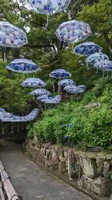 柳谷観音　楊谷寺(京都府)