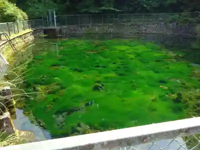 狩野厳島神社の周辺