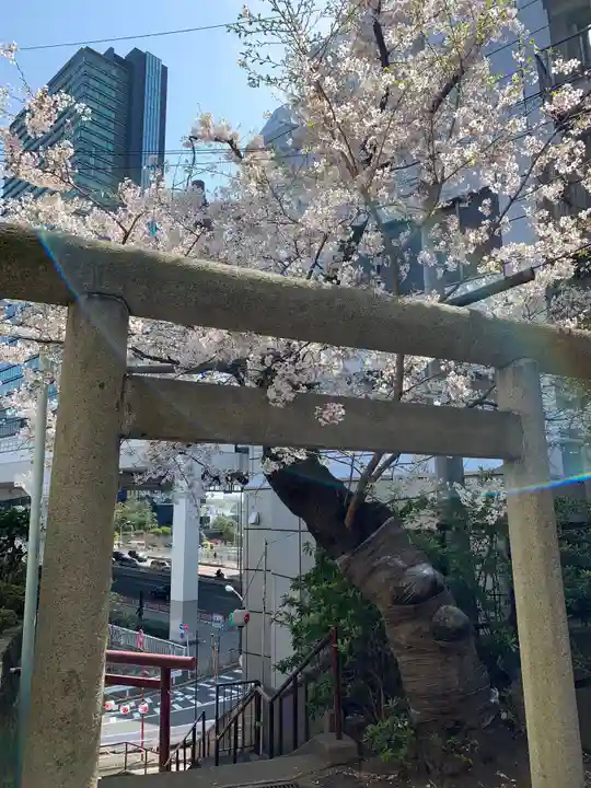 上目黒氷川神社の鳥居