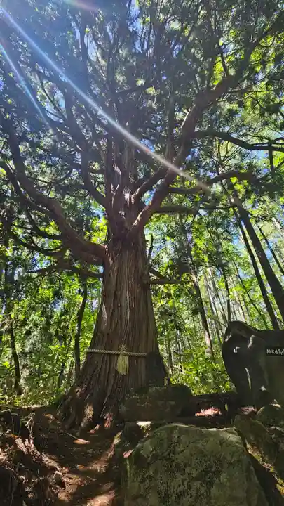 戸隠神社火之御子社(長野県)
