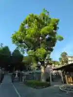 亀井神社(神奈川県)