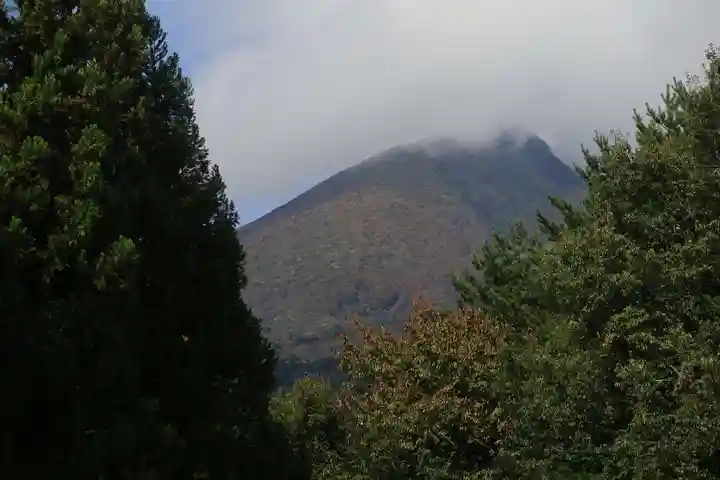 磐椅神社の自然
