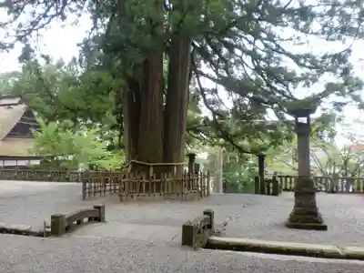 戸隠神社中社のその他建物