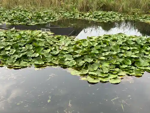 石貫神社(宮崎県)