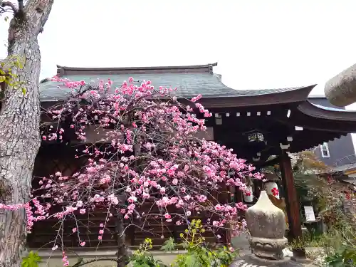 一宮神社(兵庫県)