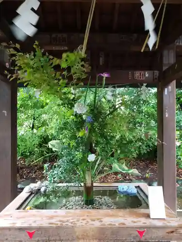 赤坂氷川神社(東京都)