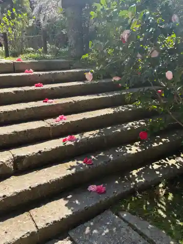 安國論寺（安国論寺）の{uncategorized: "未分類", other: "その他", undefined: "問題あり", building: "その他建物", grave: "お墓", sacred_gate: "鳥居", guardian: "狛犬", statue: "像", buddha: "仏像", history: "歴史", nature: "自然", garden: "庭園", animal: "動物", pagoda: "塔", temizu: "手水舎", mountain_gate: "山門・神門", sanctuary: "本殿・本堂", subordinate: "末社・摂社", art: "芸術", scenery: "景色", jizo: "地蔵", ema: "絵馬", goshuin: "御朱印", omikuji: "おみくじ", items: "授与品その他", amulet: "お守り", goshuincho: "御朱印帳", eats: "食事", festival: "お祭り", votive_dance: "神楽", shichigosan: "七五三参", wedding: "結婚式", experience: "体験その他", initially: "初詣", around: "周辺", anti_infection: "感染症対策"}