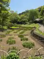 明治神宮の{uncategorized: "未分類", other: "その他", undefined: "問題あり", building: "その他建物", grave: "お墓", sacred_gate: "鳥居", guardian: "狛犬", statue: "像", buddha: "仏像", history: "歴史", nature: "自然", garden: "庭園", animal: "動物", pagoda: "塔", temizu: "手水舎", mountain_gate: "山門・神門", sanctuary: "本殿・本堂", subordinate: "末社・摂社", art: "芸術", scenery: "景色", jizo: "地蔵", ema: "絵馬", goshuin: "御朱印", omikuji: "おみくじ", items: "授与品その他", amulet: "お守り", goshuincho: "御朱印帳", eats: "食事", festival: "お祭り", votive_dance: "神楽", shichigosan: "七五三参", wedding: "結婚式", experience: "体験その他", initially: "初詣", around: "周辺", anti_infection: "感染症対策"}