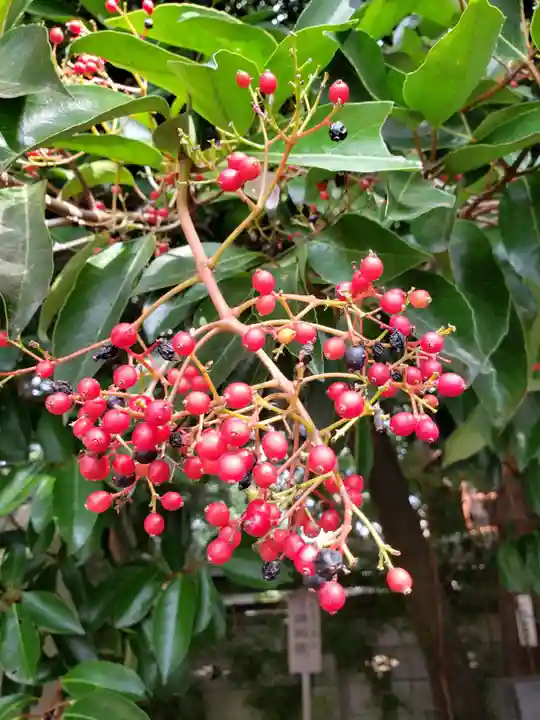 慈宏寺(東京都)