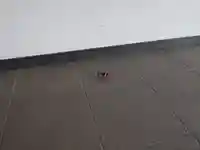 宗像大社中津宮(福岡県)