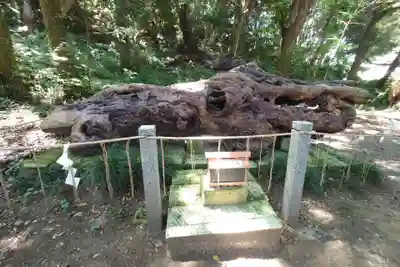 泉神社(茨城県)