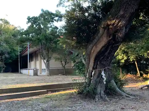鹿嶋吉田神社(茨城県)