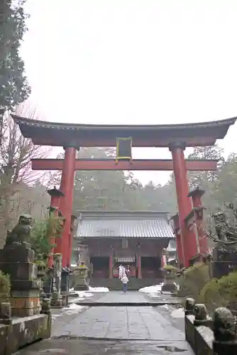 北口本宮冨士浅間神社の鳥居