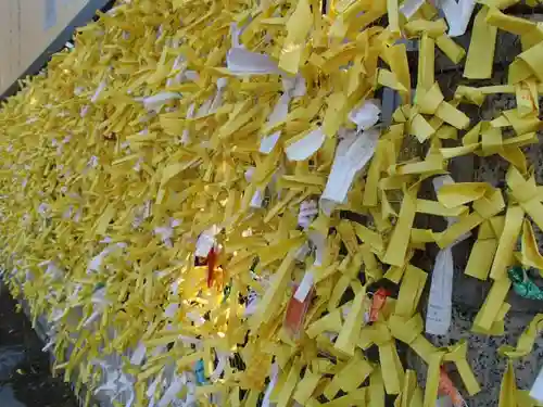 真清田神社のおみくじ